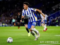 开云体育网页版-白礼顿主场大捷，继续保持升班马气势的简单介绍